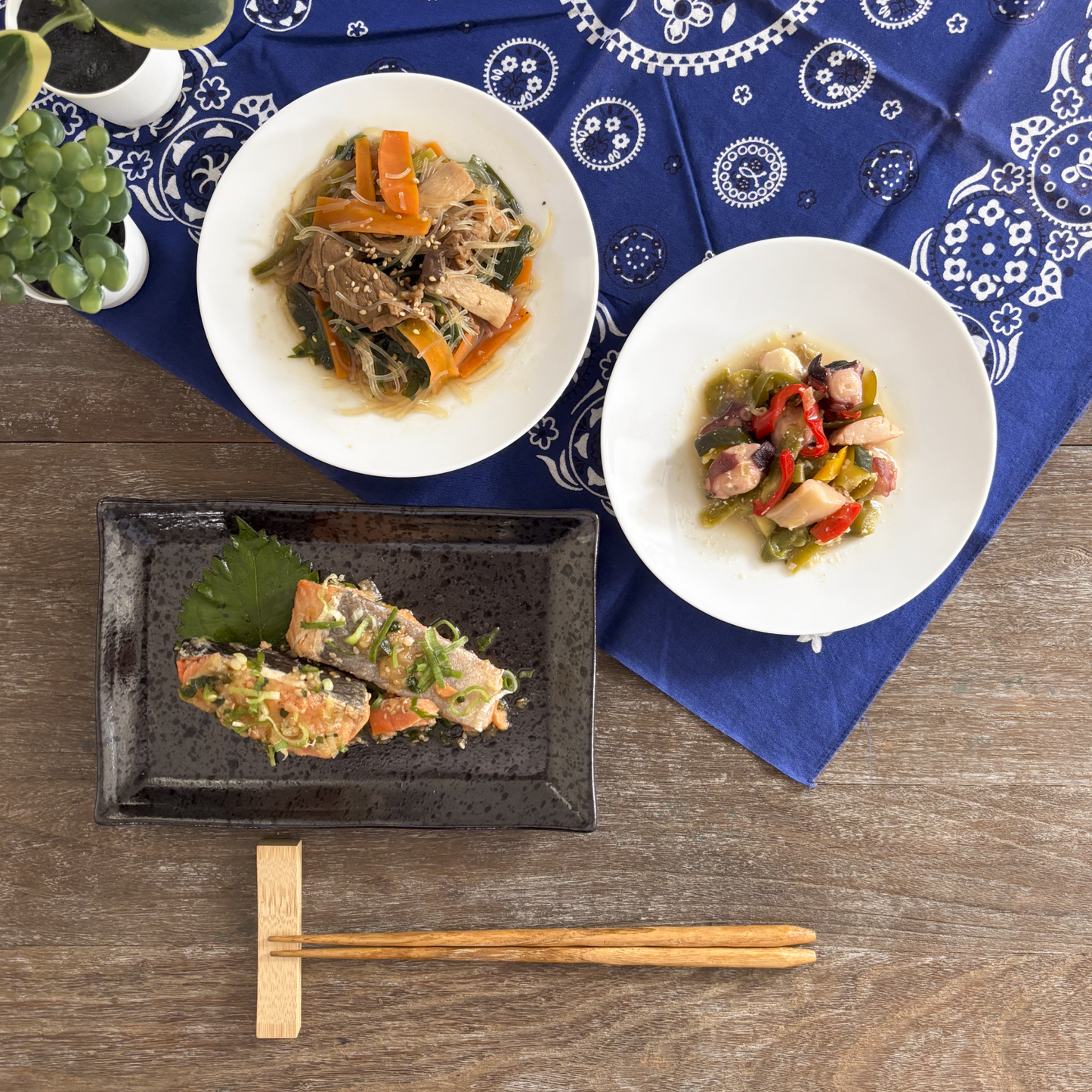 フィジカルプラン40 5食セット
