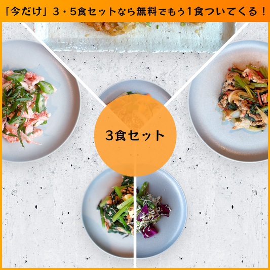 【送料無料】ヘルスケアプラン30 3食セット