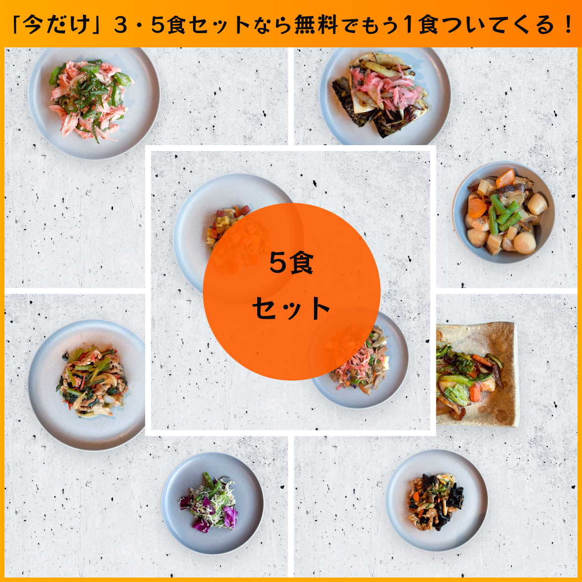 【送料無料】ヘルスケアプラン30 5食セット