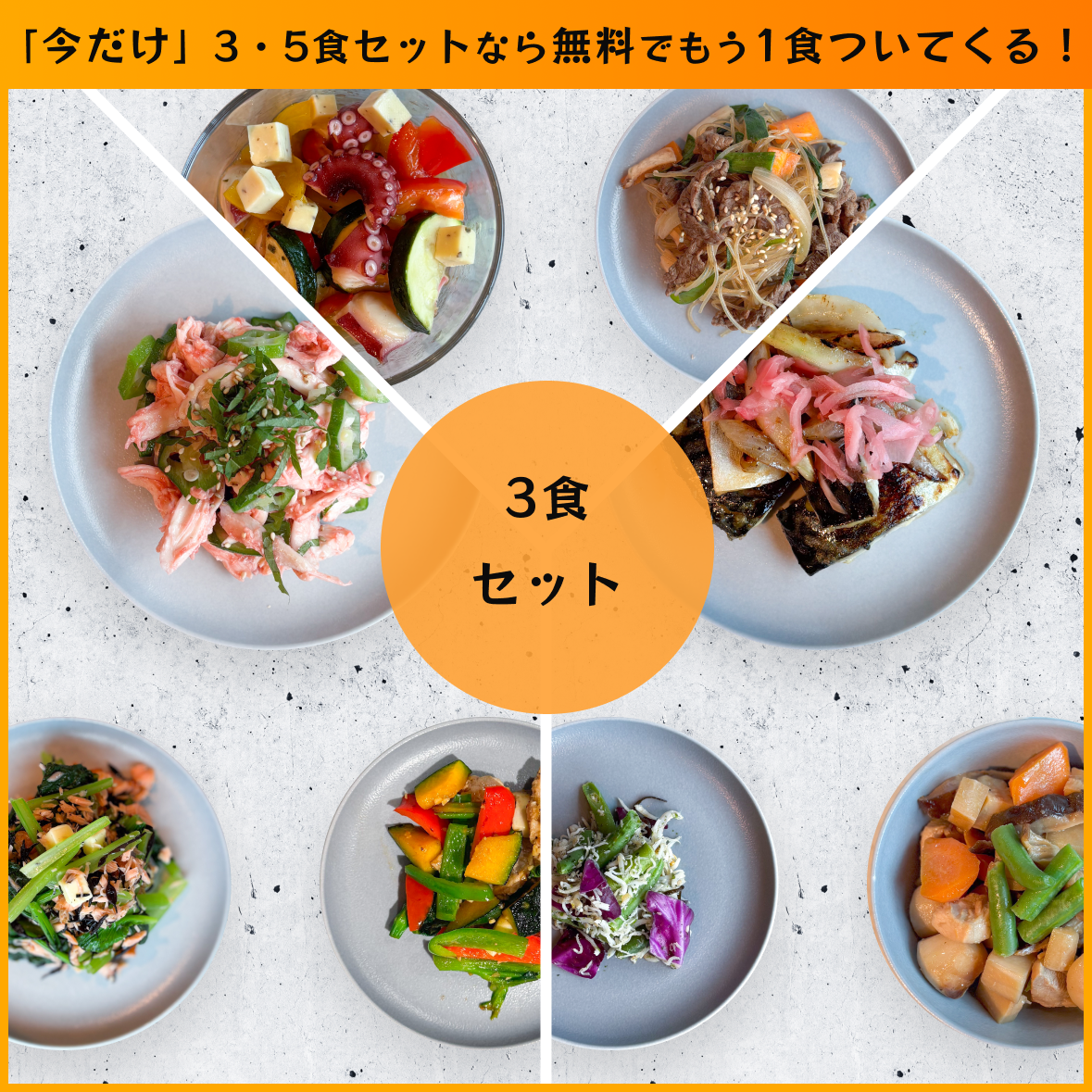 【送料無料】フィジカルプラン40 3食セット