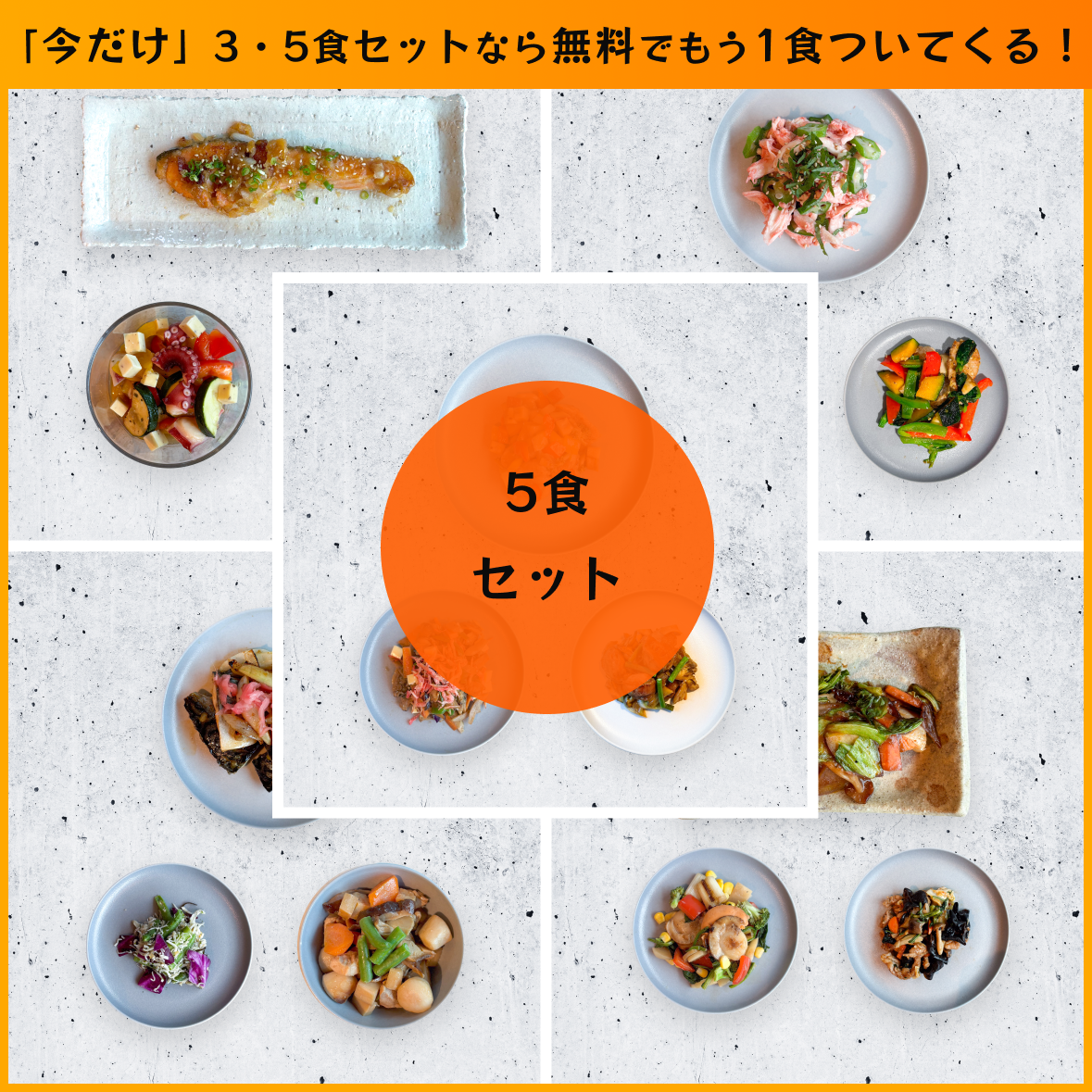 【送料無料】フィジカルプラン40 5食セット