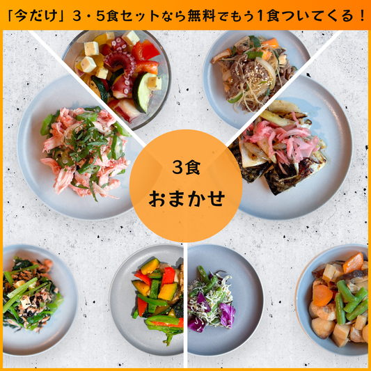 【送料無料】フィジカルプラン40 おまかせ3食セット