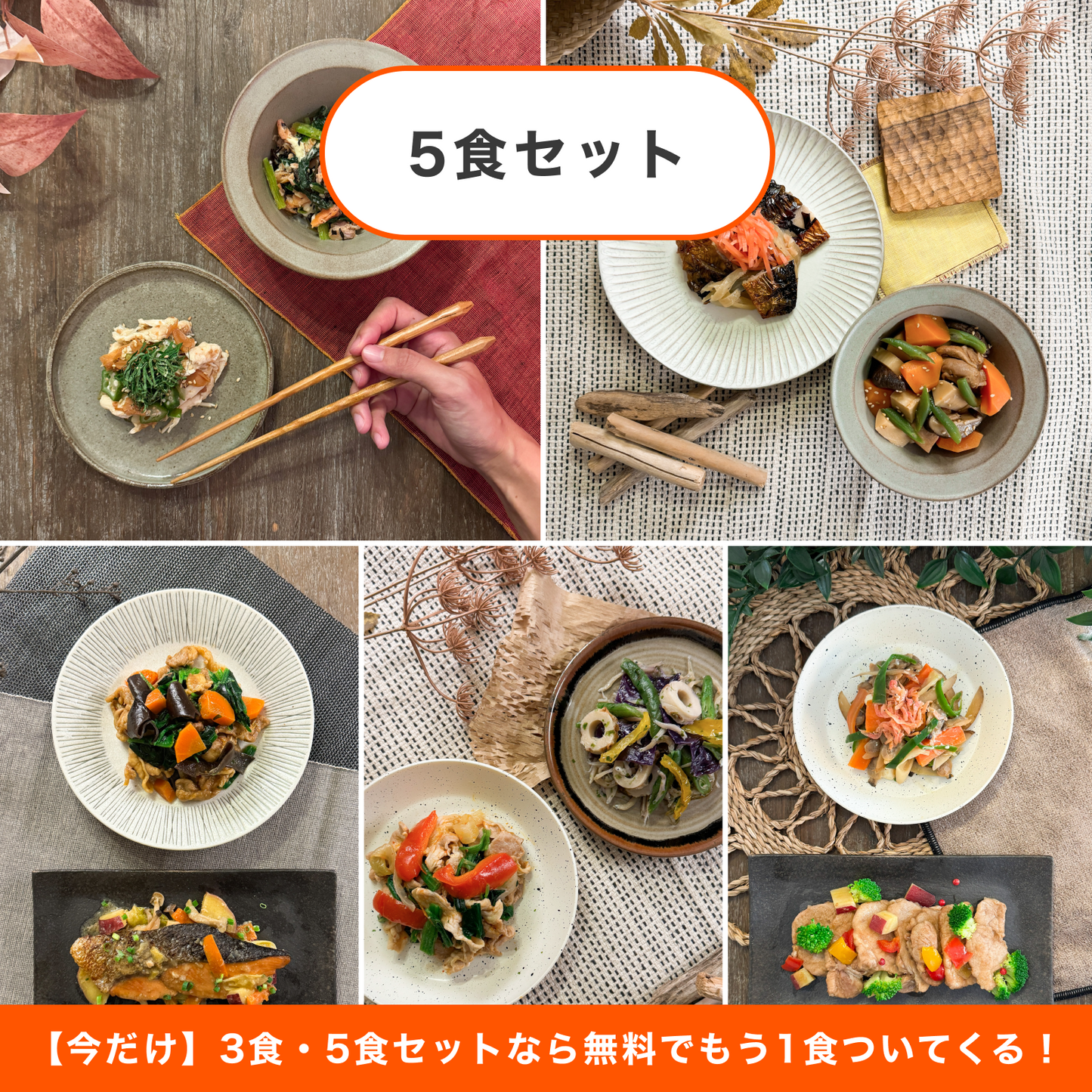 【送料無料】ヘルスケアプラン30 5食セット