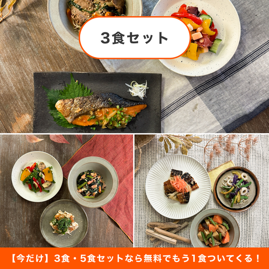 【送料無料】フィジカルプラン40 3食セット