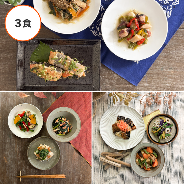 フィジカルプラン40 3食セット