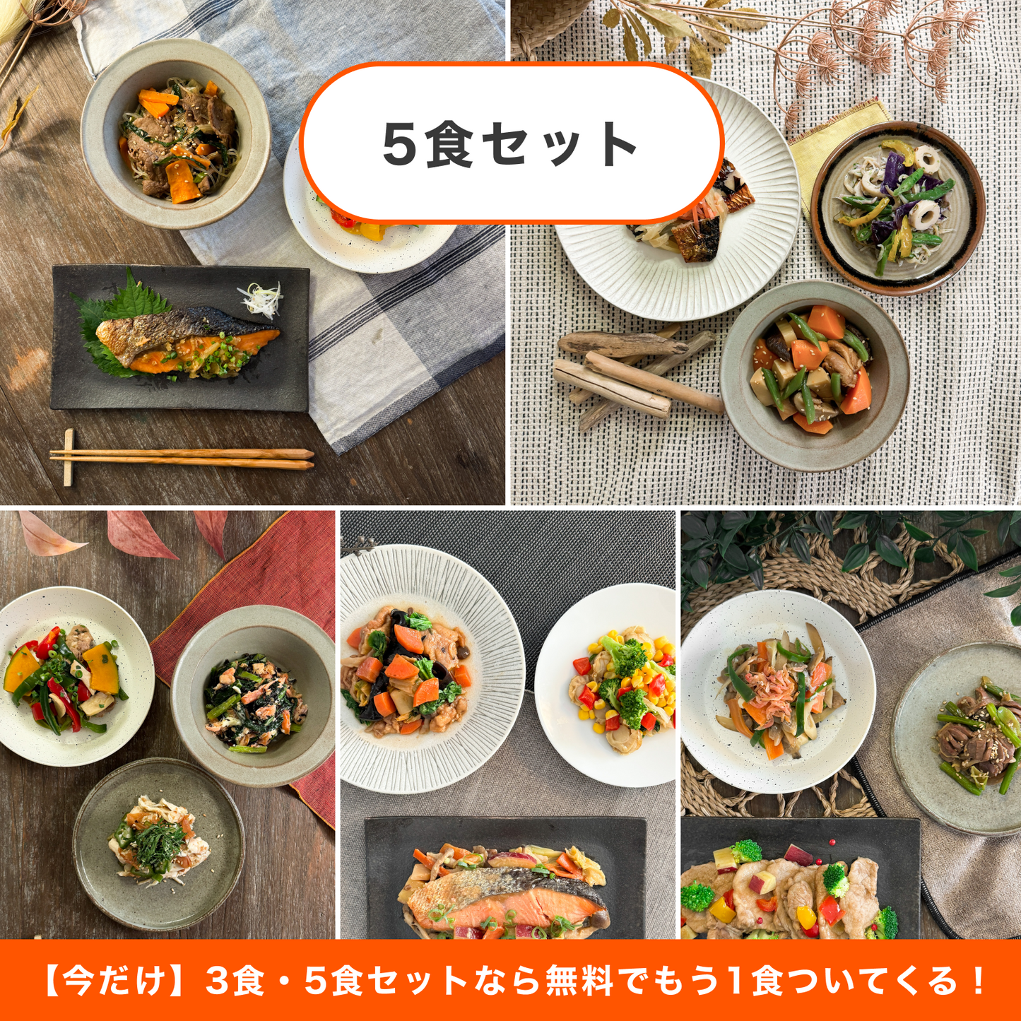 【送料無料】フィジカルプラン40 5食セット