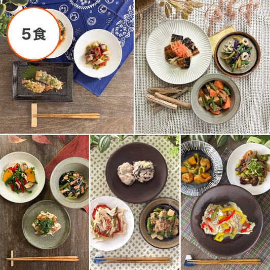 ★フィジカルプラン40 5食セット