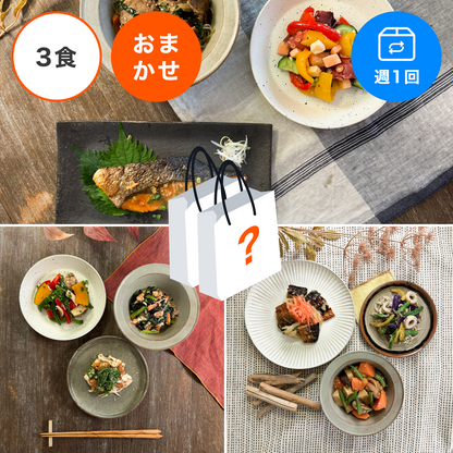 【おまかせ定期便】【3食/週1回】フィジカル40 おまかせ3食セット定期便